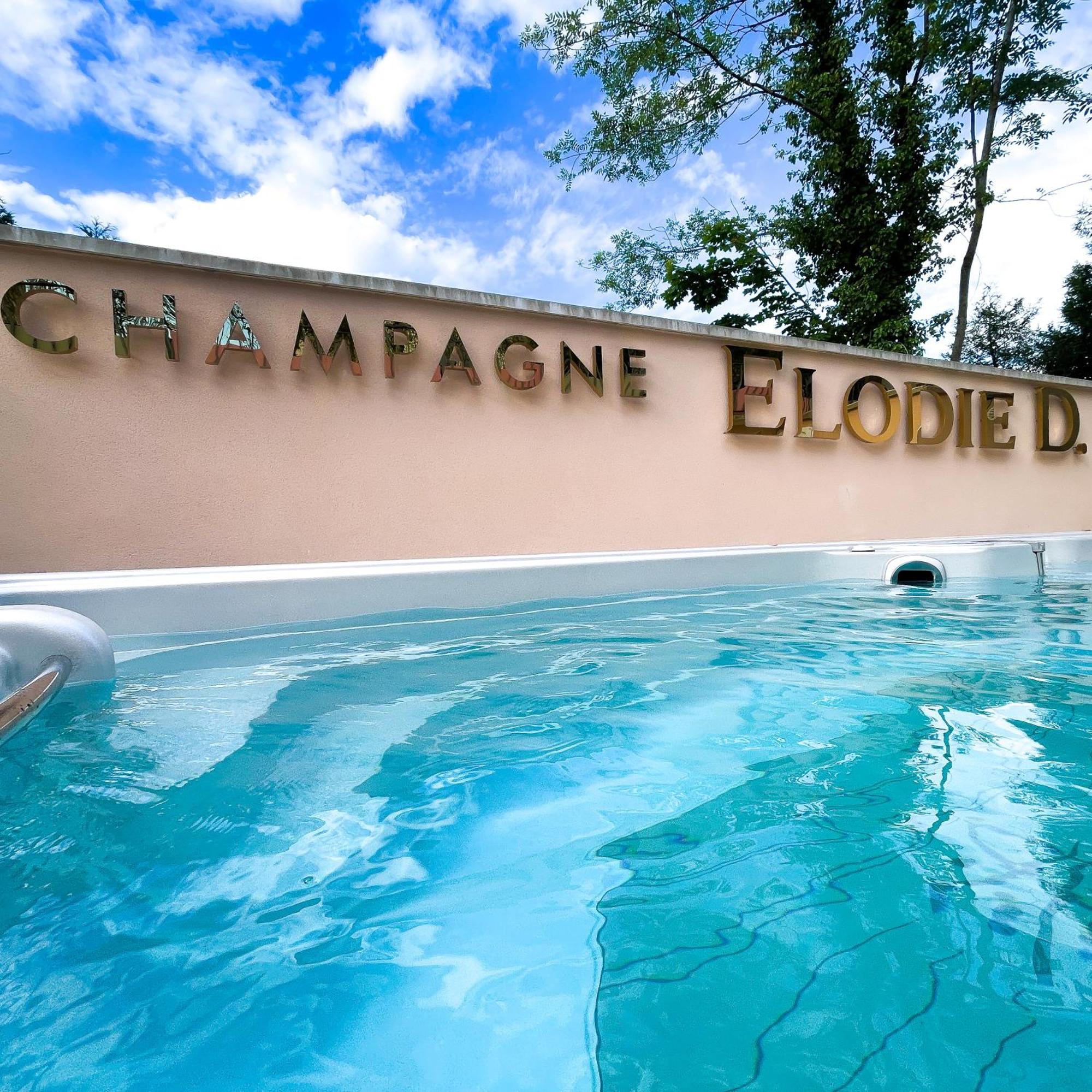 La Demeure D'Elodie Épernay Esterno foto